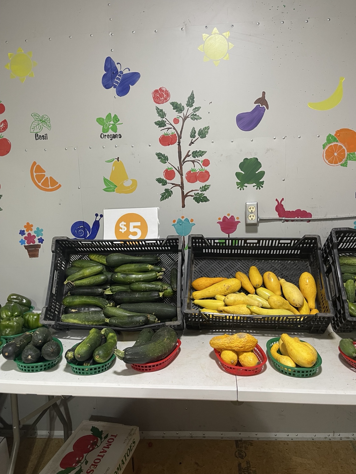 Zucchini and yellow squash
